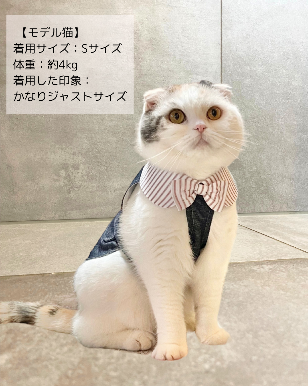 【オープン記念】Câlin デニム カラー(インディゴブルー)