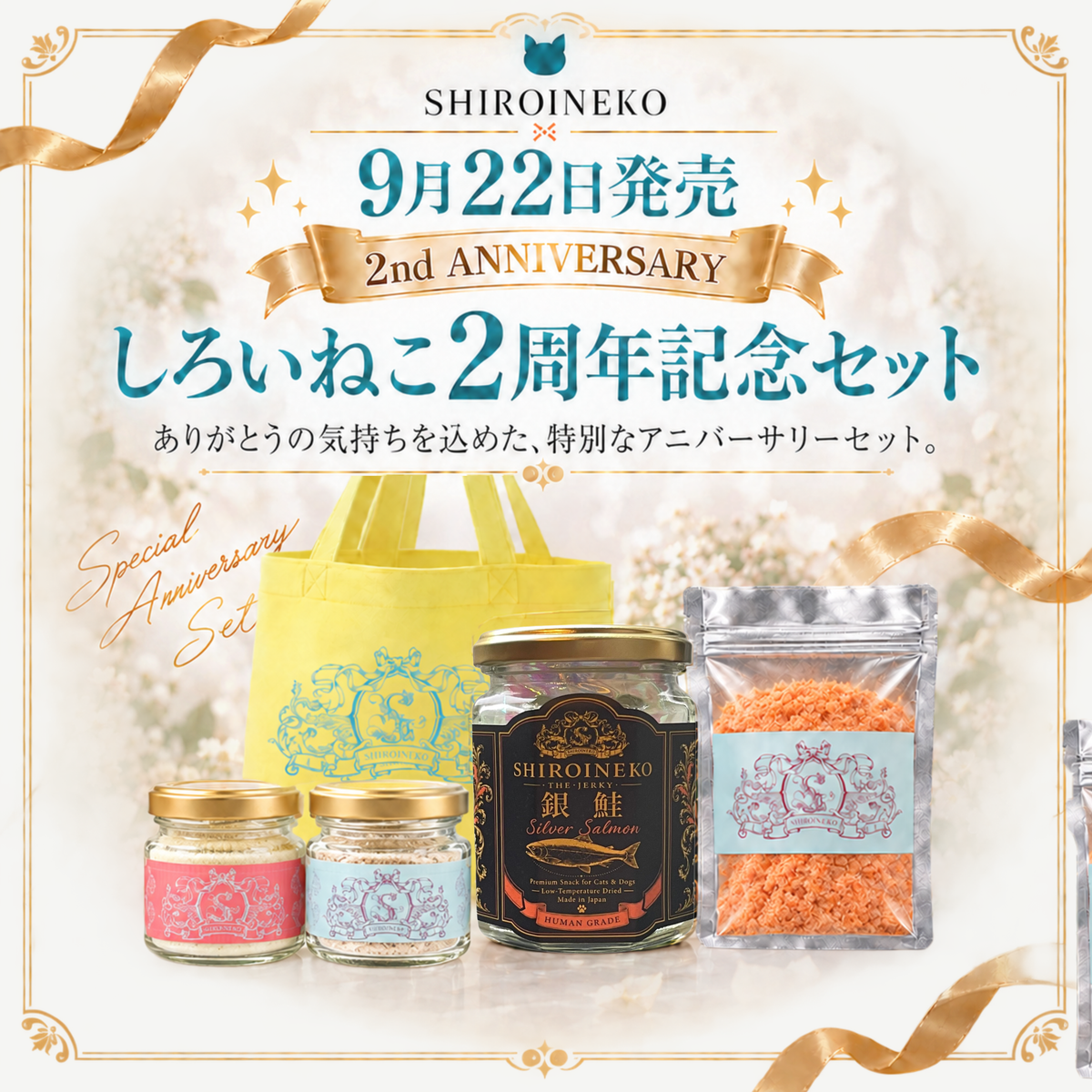 【送料無料・2周年記念】銀鮭ジャーキー＆ふわっふわFURIKAKE 特別セット