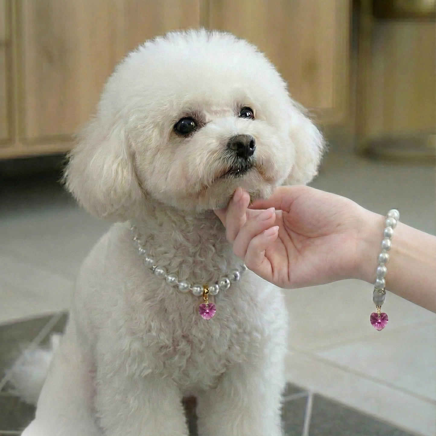 【ネックレス Lily Pink 3種】Lumière (ルミエール) — 毛並みに映える、愛らしい輝き