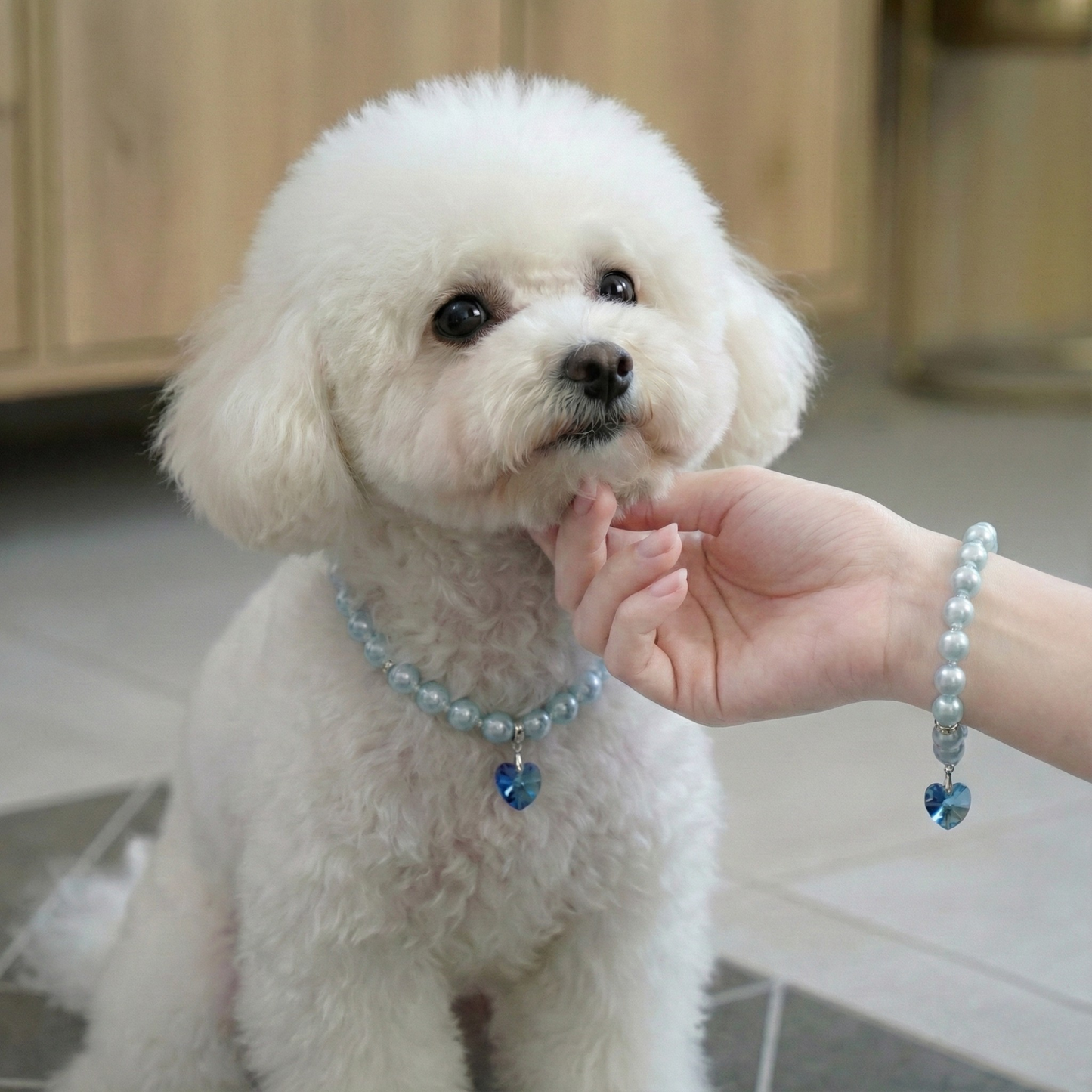 【ネックレス Blue☓Blue 3種】Lumière (ルミエール) — 毛並みに映える、愛らしい輝き