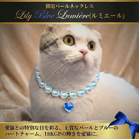 【ネックレス Blue☓Blue】Lumière (ルミエール) — 毛並みに映える、愛らしい輝き