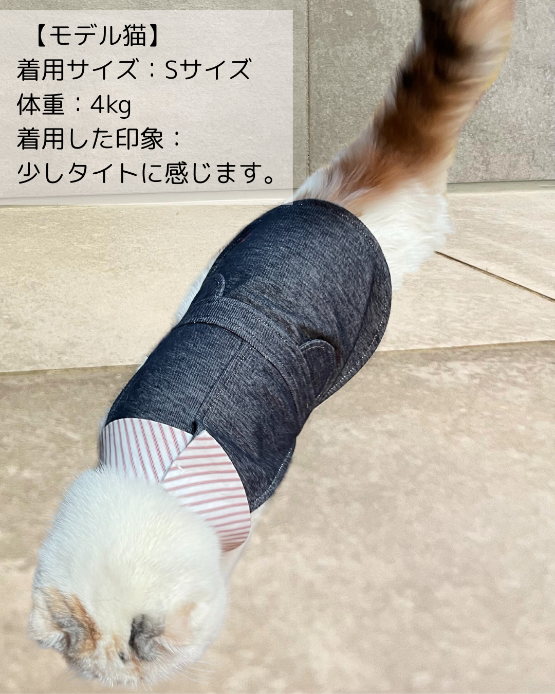 【オープン記念】Câlin デニム　カラー(インディゴブルー)