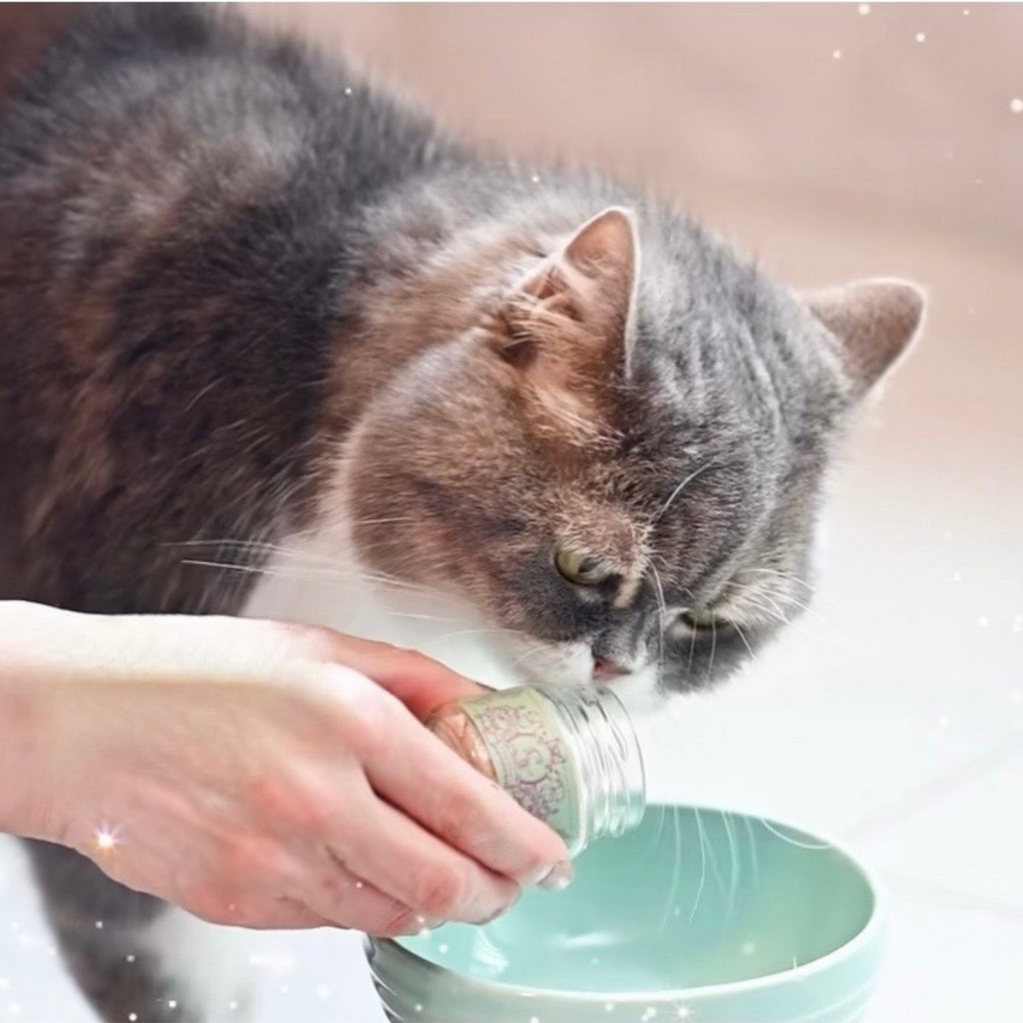 【新春福袋】国産無添加ジャーキーテイスティング＆ふりかけギフトセット