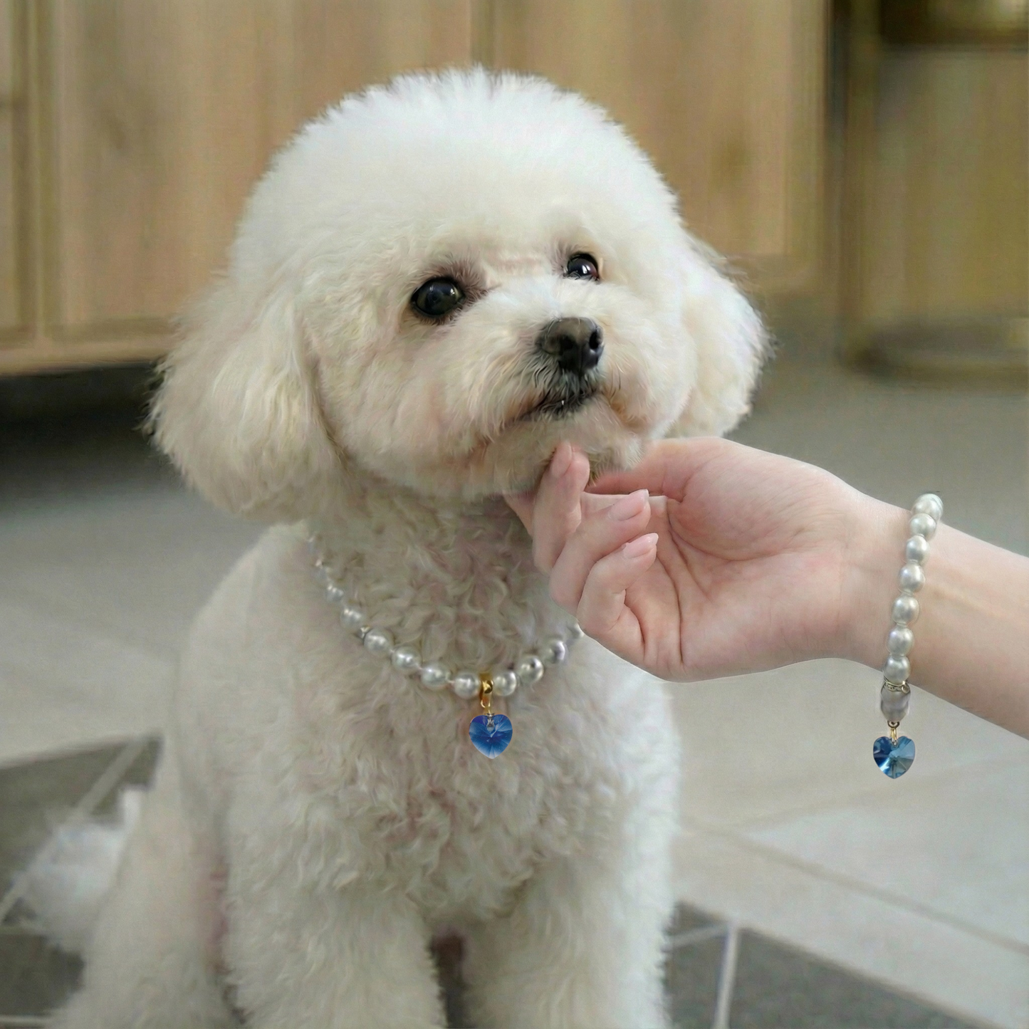 【ネックレス Snowy Blue 5種】Lumière (ルミエール) — 毛並みに映える、愛らしい輝き